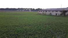 Foto Terreno agricolo in vendita a Castiglione del Lago 590000 mq  Rif: 928938