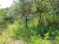 Foto Terreno agricolo in vendita a Castiglione Di Sicilia