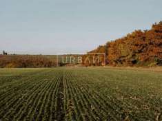Foto Terreno agricolo in vendita a Castrocaro Terme