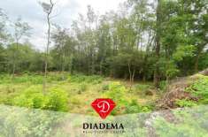 Foto Terreno agricolo in vendita a Castronno