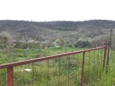 Foto Terreno agricolo in vendita a Castrovillari