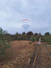 Foto Terreno agricolo in vendita a Catania