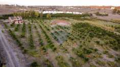 Foto Terreno agricolo in vendita a Catania