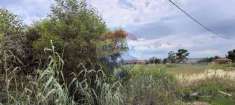 Foto Terreno agricolo in vendita a Catania