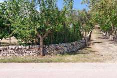 Foto Terreno agricolo in vendita a Ceglie Messapica