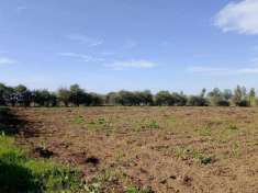 Foto Terreno agricolo in vendita a Cellole