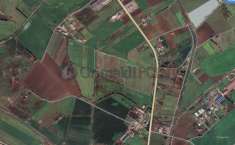 Foto Terreno agricolo in vendita a Cellole