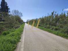 Foto Terreno agricolo in vendita a Cellole