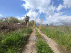 Foto Terreno agricolo in vendita a Cellole