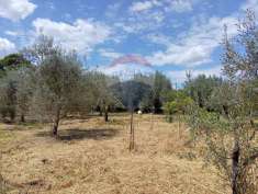 Foto Terreno agricolo in vendita a Centuripe