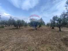 Foto Terreno agricolo in vendita a Centuripe