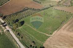 Foto Terreno agricolo in vendita a Centuripe