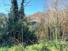 Foto Terreno agricolo in vendita a Ceppaloni