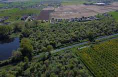 Foto Terreno agricolo in Vendita a Cerea