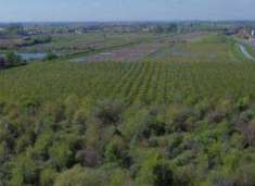 Foto Terreno agricolo in Vendita a Cerea