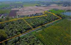 Foto Terreno agricolo in Vendita a Cerea