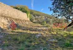 Foto Terreno agricolo in vendita a Cervaro