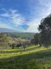 Foto Terreno agricolo in vendita a Cervicati