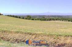 Foto Terreno agricolo in vendita a Cherasco