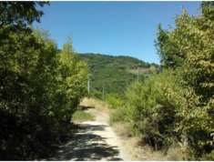 Foto Terreno agricolo in vendita a Chianni 3400 mq  Rif: 774563