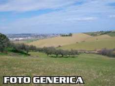 Foto Terreno agricolo in vendita a Cigoli - San Miniato 11650 mq  Rif: 1303902