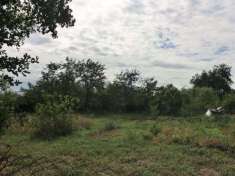 Foto Terreno agricolo in vendita a Civita Castellana