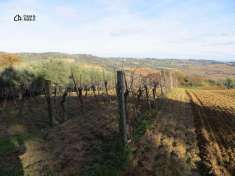 Foto Terreno agricolo in vendita a Civitanova Marche