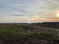 Foto Terreno agricolo in vendita a Colceresa