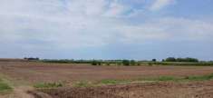 Foto Terreno agricolo in Vendita a Cologna Veneta
