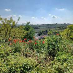 Foto Terreno agricolo in vendita a Colognola Ai Colli