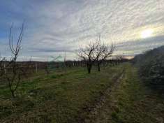 Foto Terreno agricolo in vendita a Colognola Ai Colli