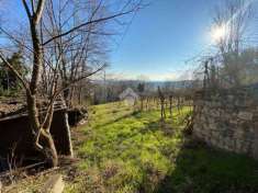 Foto Terreno agricolo in Vendita a Colognola ai Colli Colognola ai Colli
