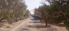 Foto Terreno agricolo in vendita a Comiso