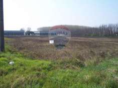 Foto Terreno agricolo in vendita a Confienza