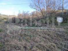 Foto Terreno agricolo in vendita a Controguerra