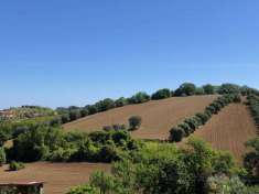 Foto Terreno agricolo in vendita a Controguerra