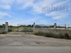 Foto Terreno agricolo in vendita a Copertino