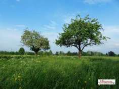 Foto Terreno agricolo in Vendita a Corbetta via Parini