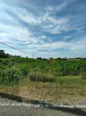 Foto Terreno agricolo in vendita a Corbola