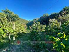 Foto Terreno agricolo in vendita a Corciano