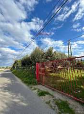 Foto Terreno agricolo in vendita a Corigliano-Rossano