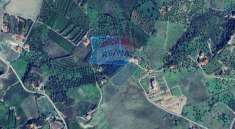 Foto Terreno agricolo in vendita a Corigliano-Rossano