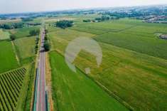 Foto Terreno agricolo in vendita a Correggio