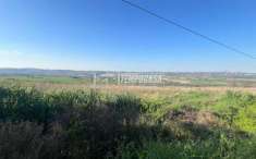 Foto Terreno agricolo in vendita a Corridonia