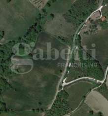Foto Terreno agricolo in vendita a Costacciaro