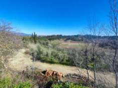 Foto Terreno agricolo in vendita a Crespina Lorenzana 20611 mq  Rif: 1312858