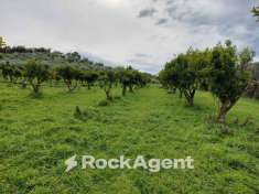 Foto Terreno agricolo in vendita a Crotone