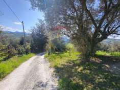 Foto Terreno agricolo in vendita a Cupramontana