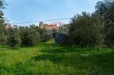Foto Terreno agricolo in vendita a Cupramontana