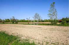 Foto Terreno agricolo in Vendita a Desenzano del Garda Rivoltella del Garda